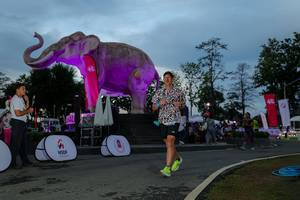 BIB: 
                            <button type="button" onclick="openModal(26529604)" class="btn btn-primary btn-sm float-right btn-popup" data-toggle="modal" data-target=".modal-high-quality">
                        <i class="fas fa-shopping-cart"></i> Add to Cart
                    </button>
                                            <button type="button" onclick="isThisMe(26529604, true)" class="btn btn-success btn-sm float-right btn-popup btn-isme hidden" data-toggle="tooltip" data-placement="bottom" title="นี่คือรูปของคุณใช่ไหม คลิกที่นี่เพื่อเอาเข้าอัลบั้ม">
                        <i class="fas fa-plus"></i> Add to album
                    </button>
                    <button type="button" onclick="isThisMe(26529604, false)" class="btn btn-warning btn-sm float-right btn-popup btn-isnotme hidden">
                        <i class="fas fa-ban"></i> Remove from album
                    </button>